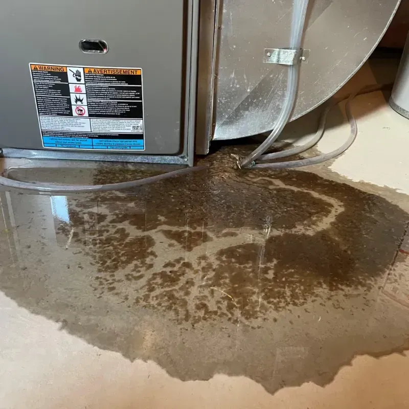 Appliance Leak Cleanup in Oneonta, AL